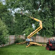 Best Arborist Consultation Services  in Madeira Beach, FL